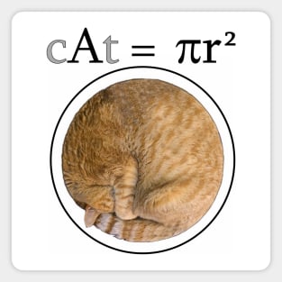 cAt = πr^2 Magnet